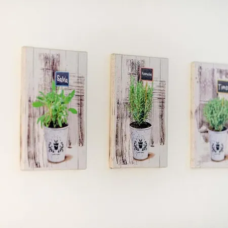 Apartment Children House *