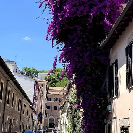 Apartment Children House *